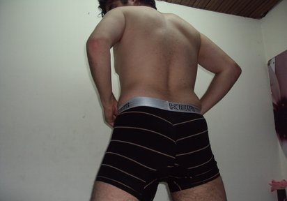 Stripperin WilliGay